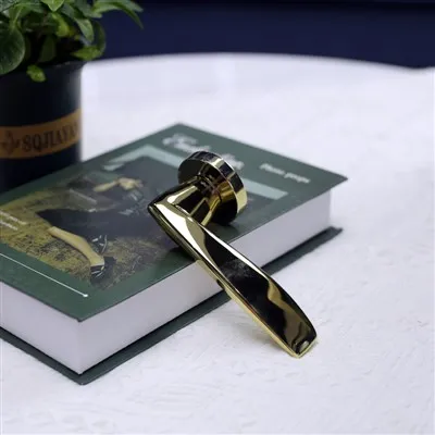 Äußerer Türgriff aus Chrom