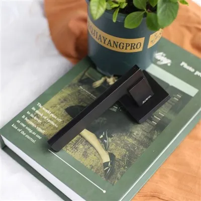 Mattschwarze quadratische Türgriffe