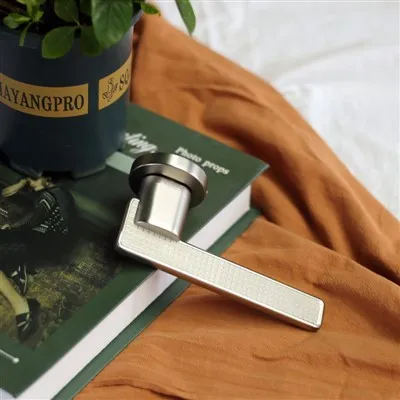 Mattschwarzes Außentürschloss