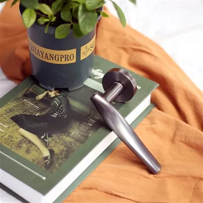 Runder goldener Türgriff